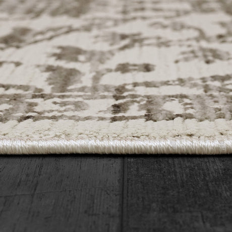 Dynamic Rugs Bailey 3880 Ivory/Grey Rug.