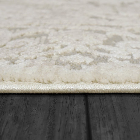 Dynamic Rugs Bailey 3881 Beige/Ivory/Grey Rug.