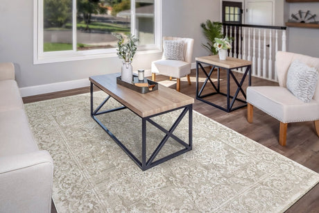 Dynamic Rugs Bailey 3881 Beige/Ivory/Grey Rug.