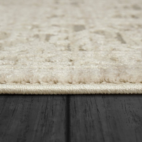 Dynamic Rugs Bailey 3882 Beige/Ivory/Grey Rug.