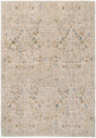 Dynamic Rugs Bloomfield 19601 Power Loomed Transitional Cream/Multi Rug - Rectangular