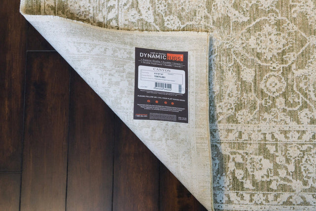 Dynamic Rugs Canyon 15475 Power Loomed Traditional Beige/Light Beige/Cream Rug
