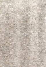 Dynamic Rugs Dharma 12043 Power Loomed Transitional Beige/Multi Rug - rectangular rug view