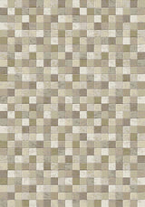 Dynamic Rugs Eclipse 63339 Beige Rugs.