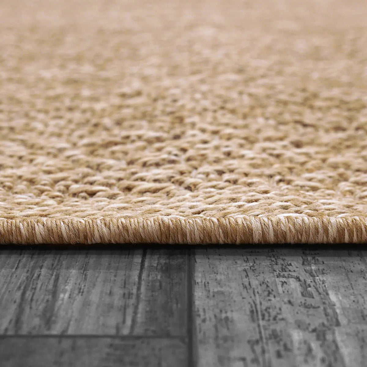 Dynamic Rugs Kenai 8773 Power Loomed Modern Natural Rug - Pile