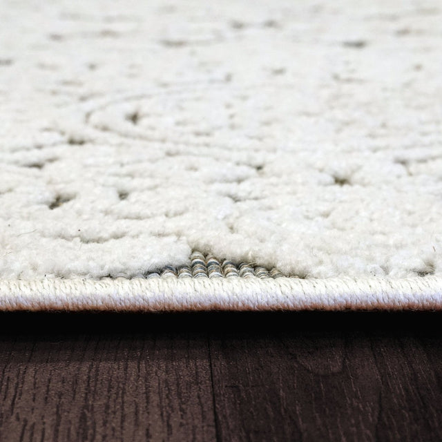 Dynamic Rugs Lotus 8146 Ivory/Multi Rugs.