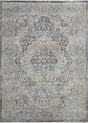 Transitional rug, grey and beige, ornate distressed medallion pattern, rectangle