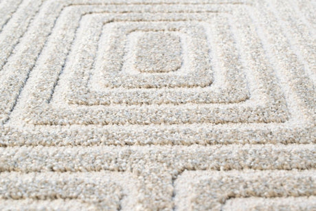 Dynamic Rugs Quin 41009 Light Grey Rugs.