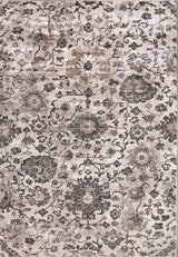 Dynamic Rugs Riley 6034 Grey/Beige Rug.