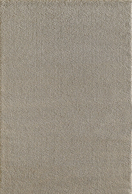 Dynamic Rugs Silky Shag 5900 Beige Rugs.