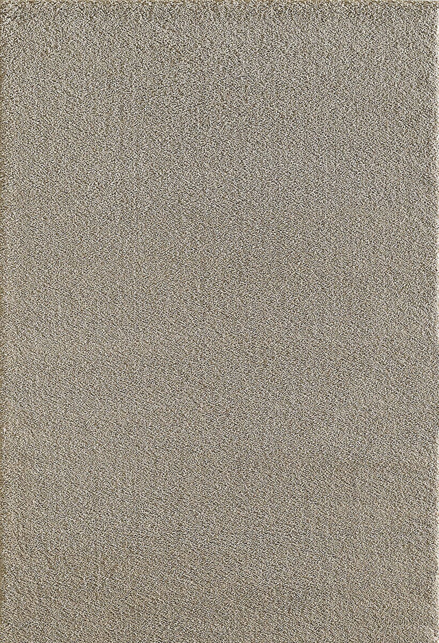 Dynamic Rugs Silky Shag 5900 Beige Rugs.