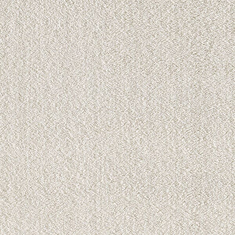 Dynamic Rugs Silky Shag 5900 Ivory Rugs.