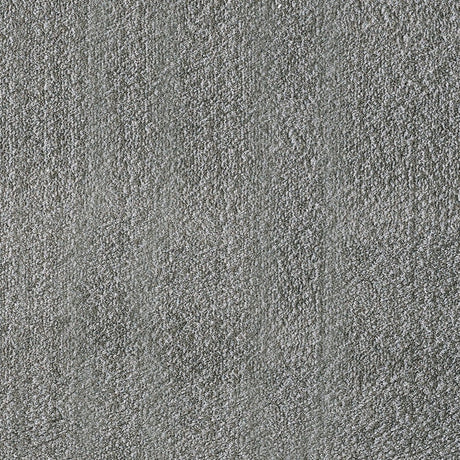 Dynamic Rugs Silky Shag 5900 Silver Rugs.