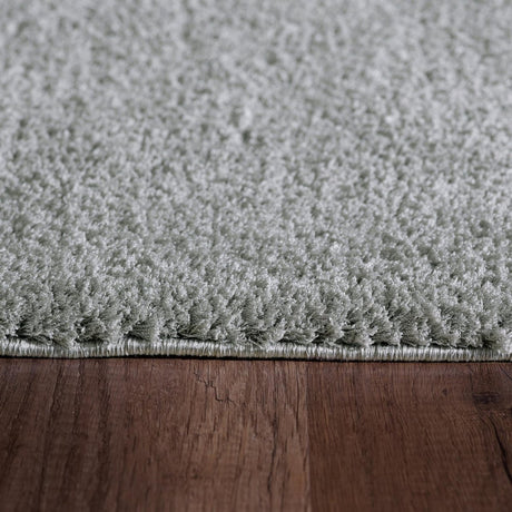 Dynamic Rugs Silky Shag 5900 Silver Rugs.