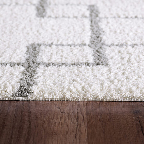 Dynamic Rugs Silky Shag 5901 Ivory / Silver Rugs.