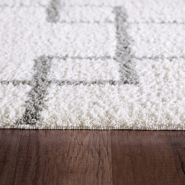 Dynamic Rugs Silky Shag 5901 Ivory / Silver Rugs.