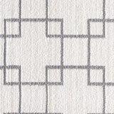 Dynamic Rugs Silky Shag 5901 Ivory / Silver Rugs.