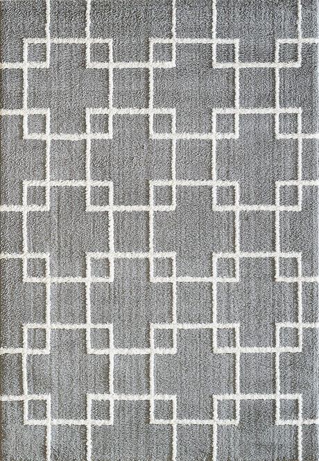 Dynamic Rugs Silky Shag 5901 Silver Rugs.