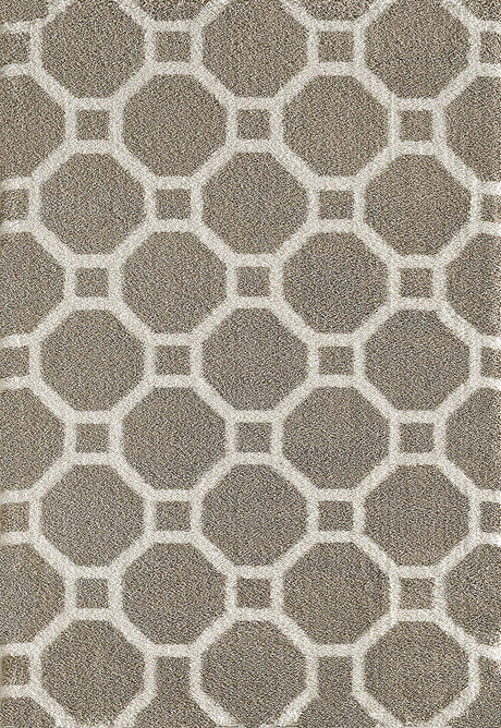 Dynamic Rugs Silky Shag 5903 Beige Rugs.