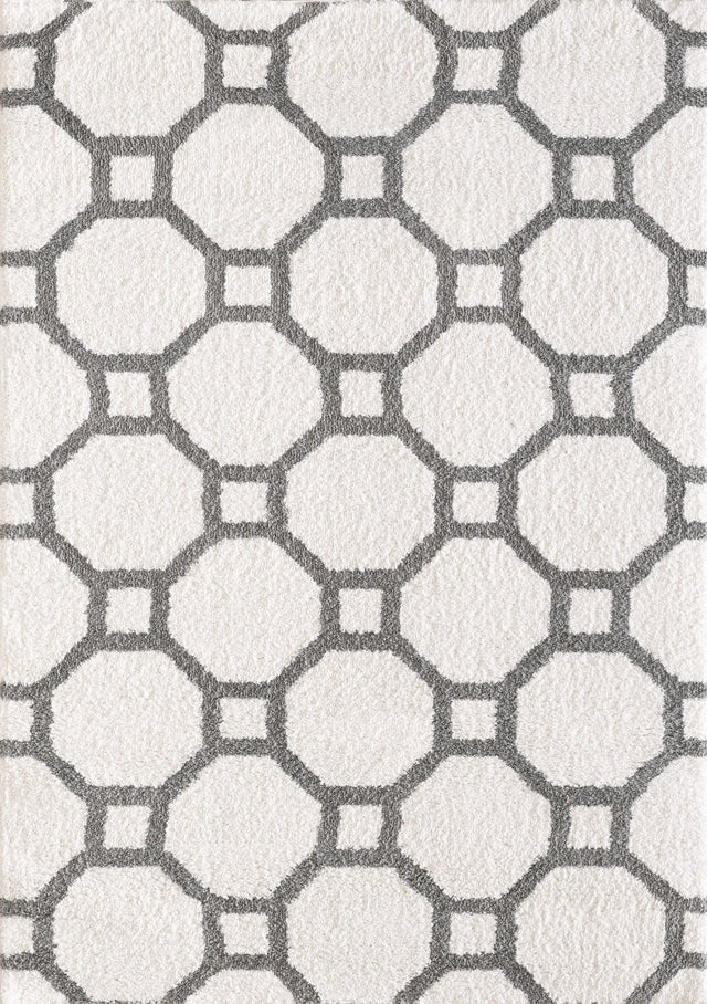 Dynamic Rugs Silky Shag 5903 Silver/White Rugs.