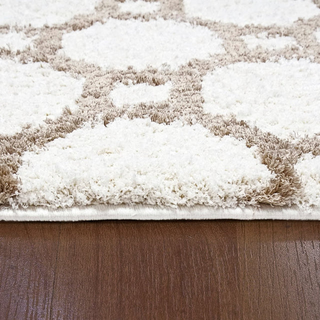 Dynamic Rugs Silky Shag 5903 White Rug.