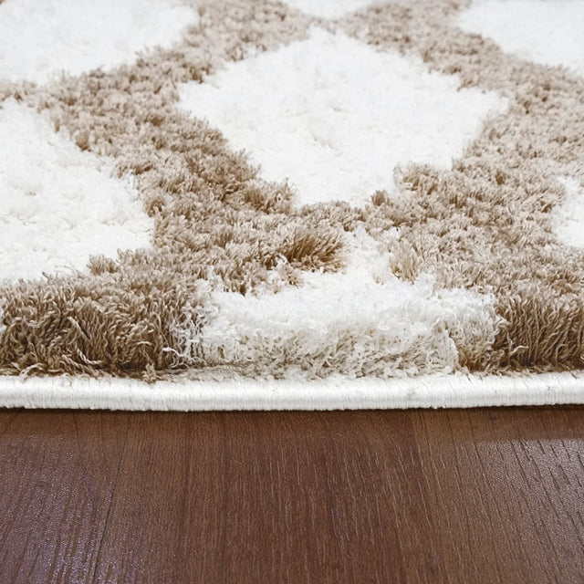 Dynamic Rugs Silky Shag 5904 White Rug.