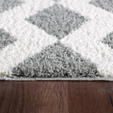 Dynamic Rugs Silky Shag 5904 White/Silver Rugs.