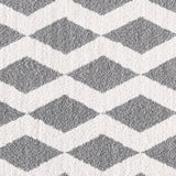 Dynamic Rugs Silky Shag 5904 White/Silver Rugs.