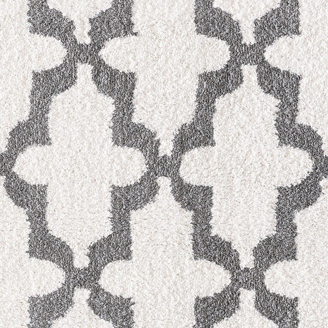 Dynamic Rugs Silky Shag 5906 White / Silver Rugs.