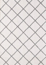 Dynamic Rugs Silky Shag 5920 Ivory / Silver Rugs.