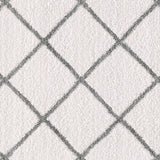 Dynamic Rugs Silky Shag 5920 Ivory / Silver Rugs.