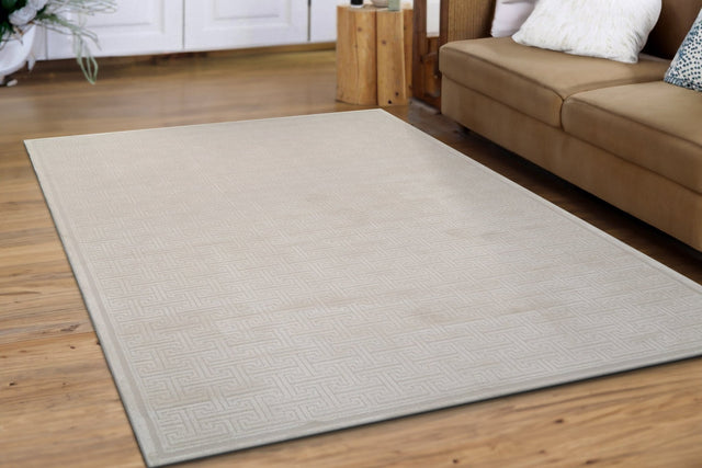 Dynamic Rugs Timeless 6922 Power Loomed Modern Beige Rug