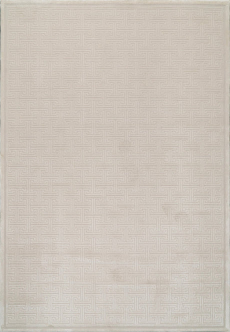 Dynamic Rugs Timeless 6922 Power Loomed Modern Beige Rug