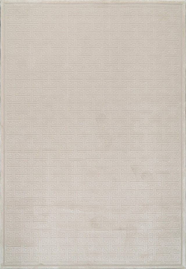 Dynamic Rugs Timeless 6922 Power Loomed Modern Beige Rug