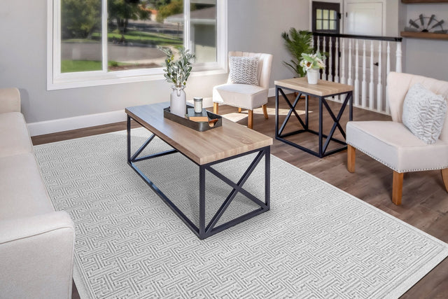 Dynamic Rugs Timeless 6930 Power Loomed Modern Grey Rug