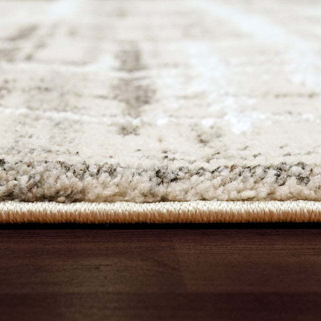 Dynamic Rugs Troya 4602 Ivory/Grey Rugs.