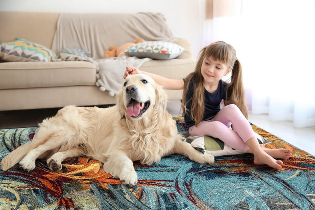 Dynamic Rugs Zodiac 6622 Blue/Multi Rug.