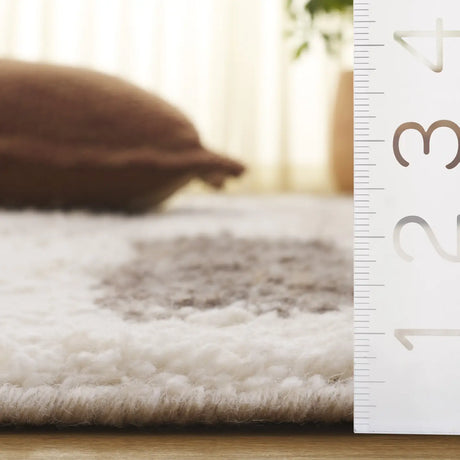 Safavieh Vermont 4'-0" x 6'-0" Rug in Ivory / Grey