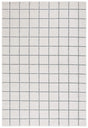Safavieh Stella 4'-0" x 6'-0" Rug in Ivory / Grey