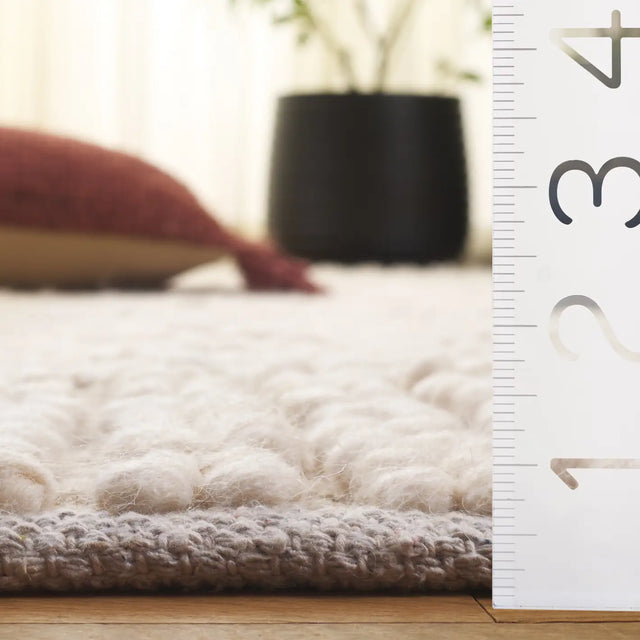Safavieh Natura 4'-0" x 6'-0" Rug in Beige