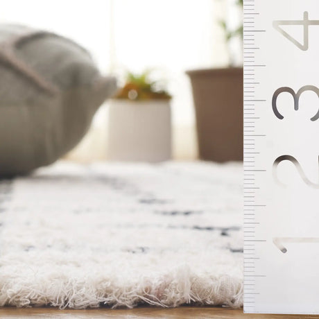 Safavieh Montauk 4'-0" x 6'-0" Rug in Ivory / Black