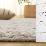 Safavieh Vermont 4'-0" x 6'-0" Rug in Beige / Ivory