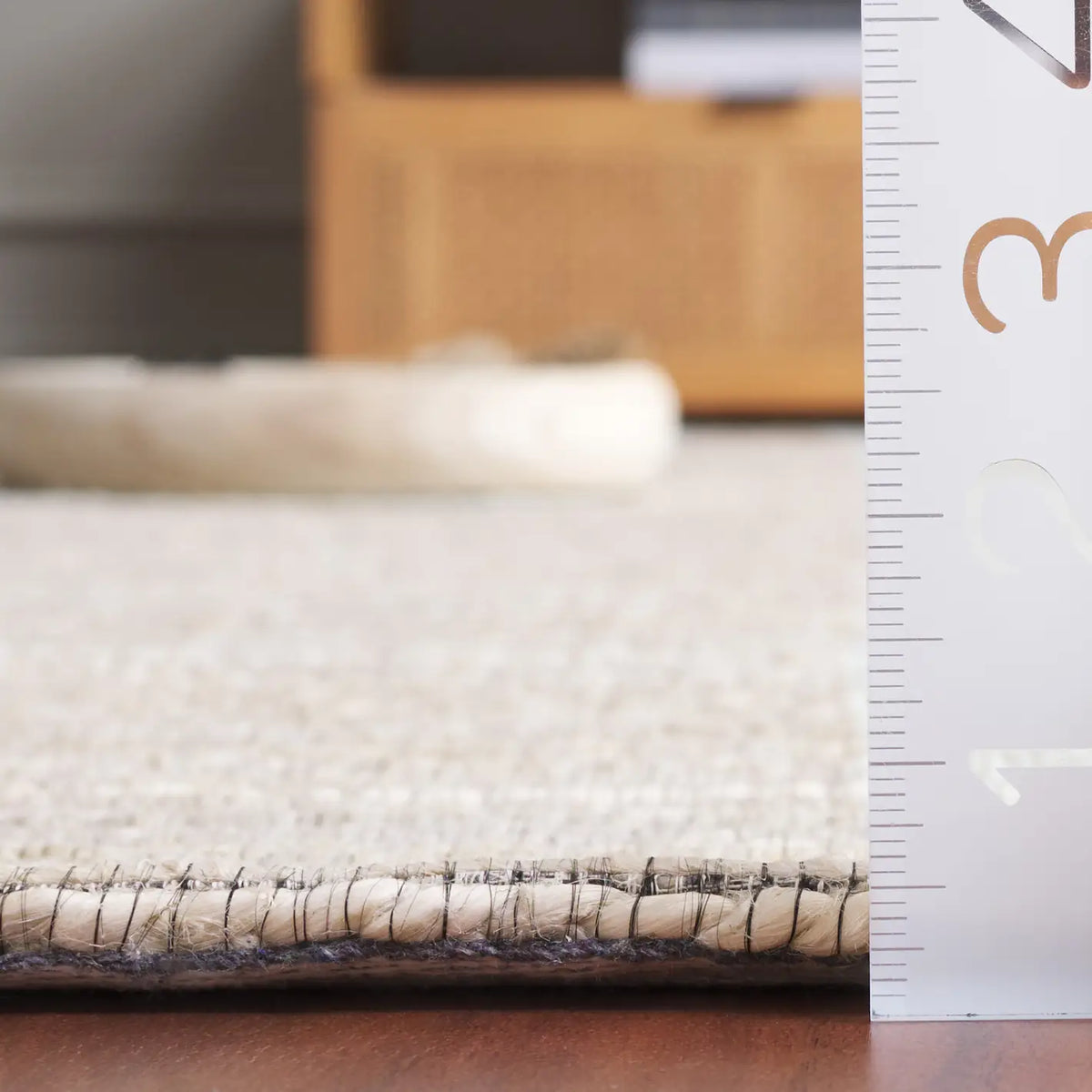 Safavieh Cape Cod 4'-0" x 6'-0" Rug in Bleach / Ivory