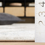 Safavieh Quincy 4'-0" x 6'-0" Rug in Ivory / Beige
