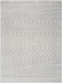 Nourison Astra Machine Washable Asw10 Grey Area Rug