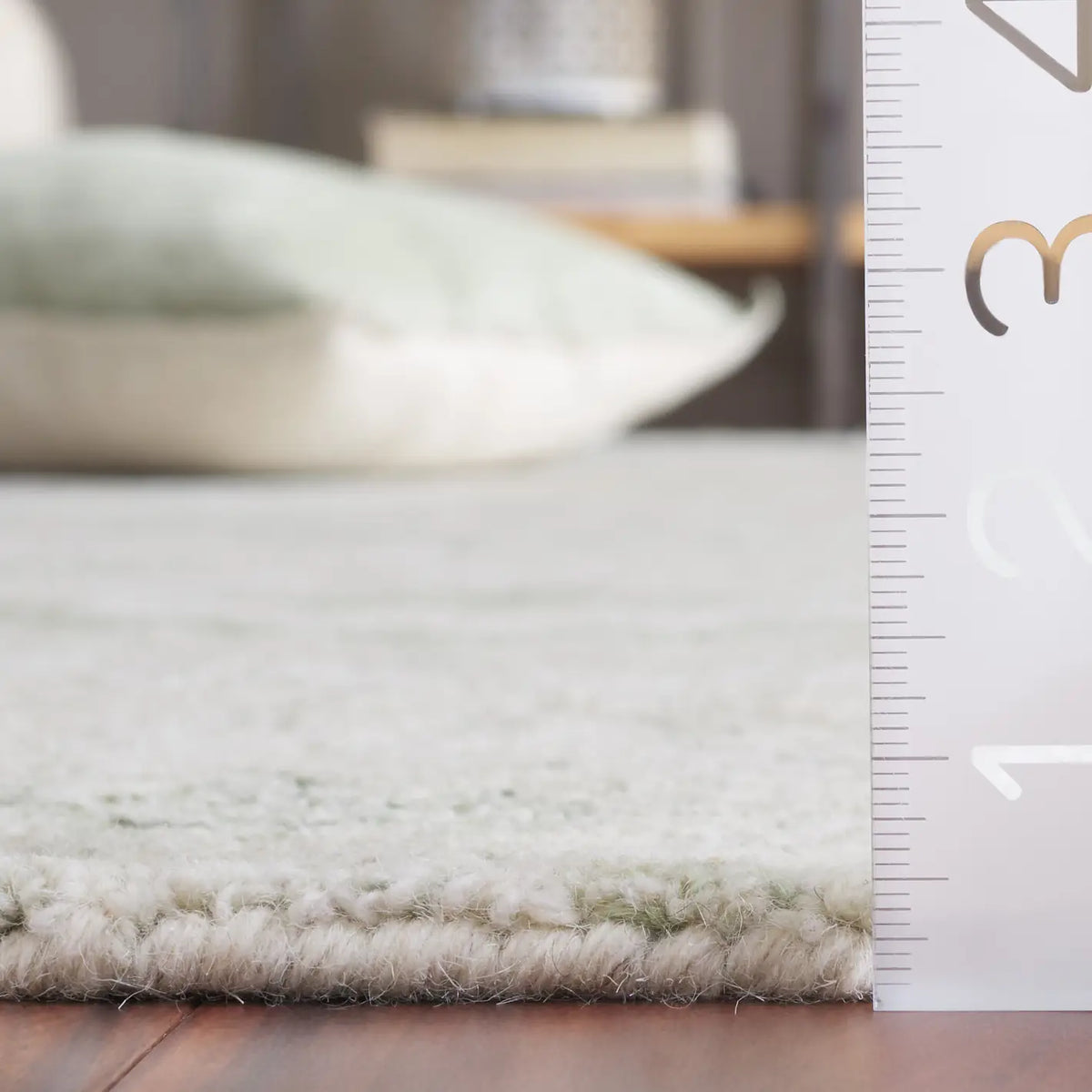 Safavieh Ebony 4'-0" x 6'-0" Rug in Ivory / Light Green