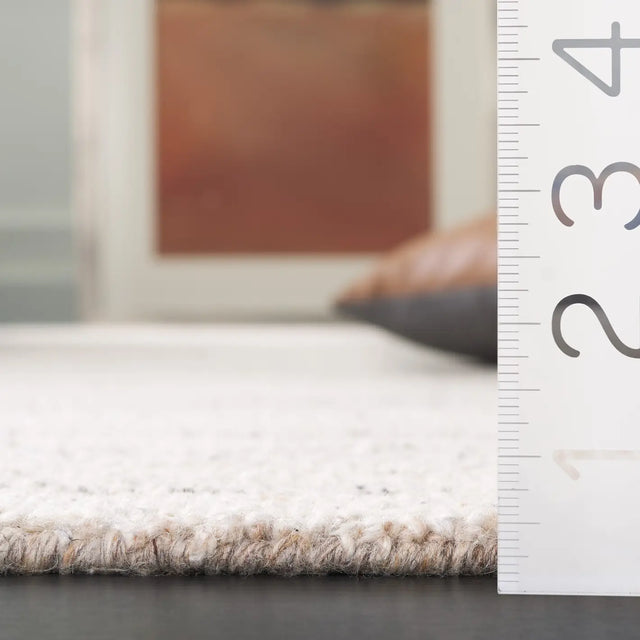Safavieh Natura 4'-0" x 6'-0" Rug in Beige