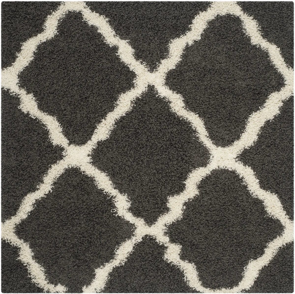 Safavieh Sgd-Dallas Shag 6'-0" x 6'-0" Rug in Dark Grey / Ivory