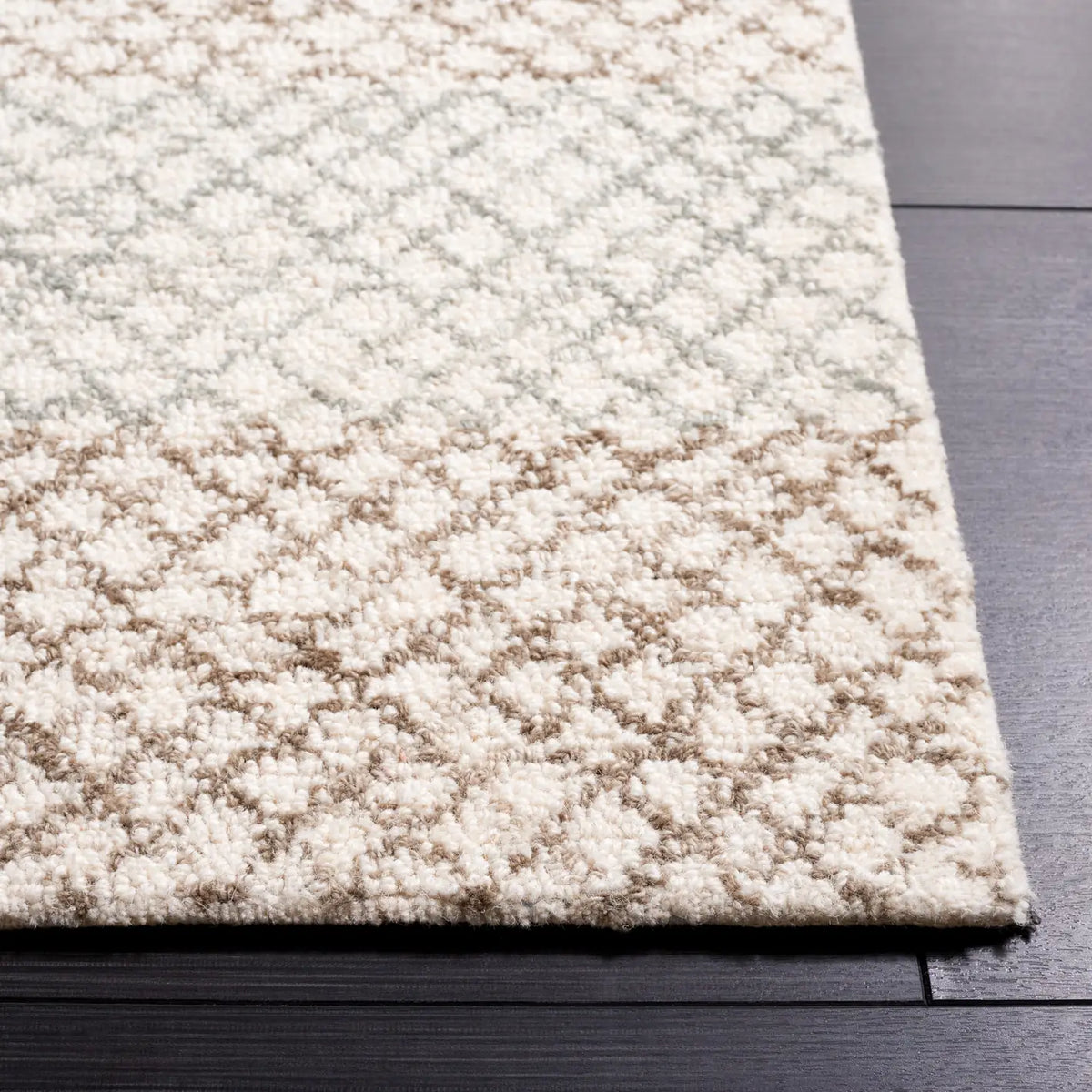 Safavieh Ebony 4'-0" x 6'-0" Rug in Ivory / Beige