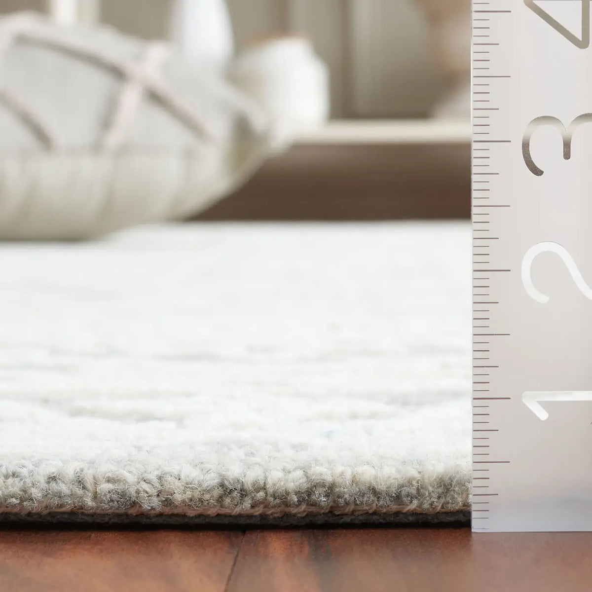 Safavieh Ebony 4'-0" x 6'-0" Rug in Ivory / Grey